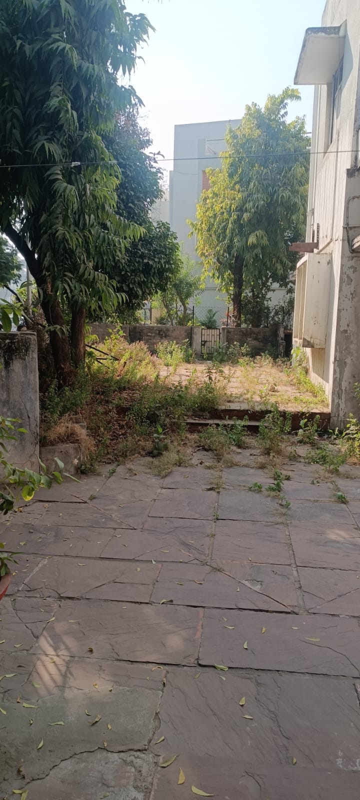 Plot in Naranpura view 4