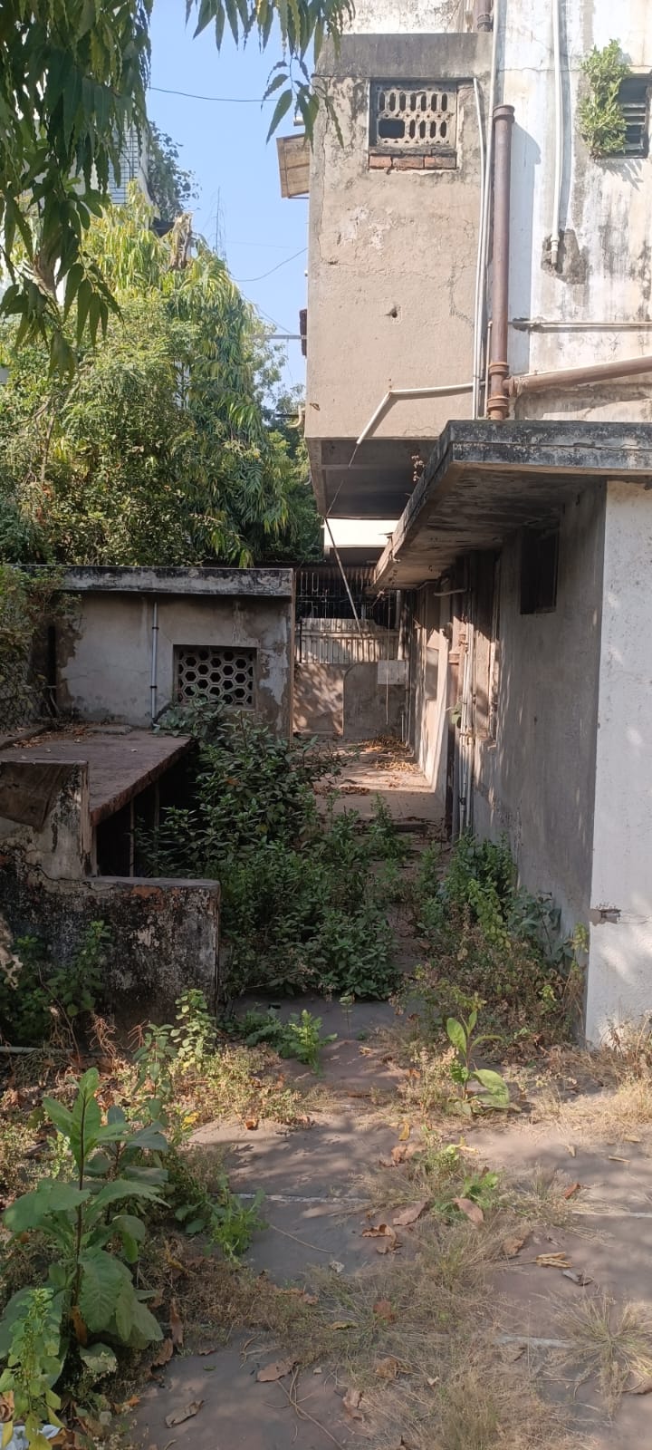 Plot in Naranpura view 5