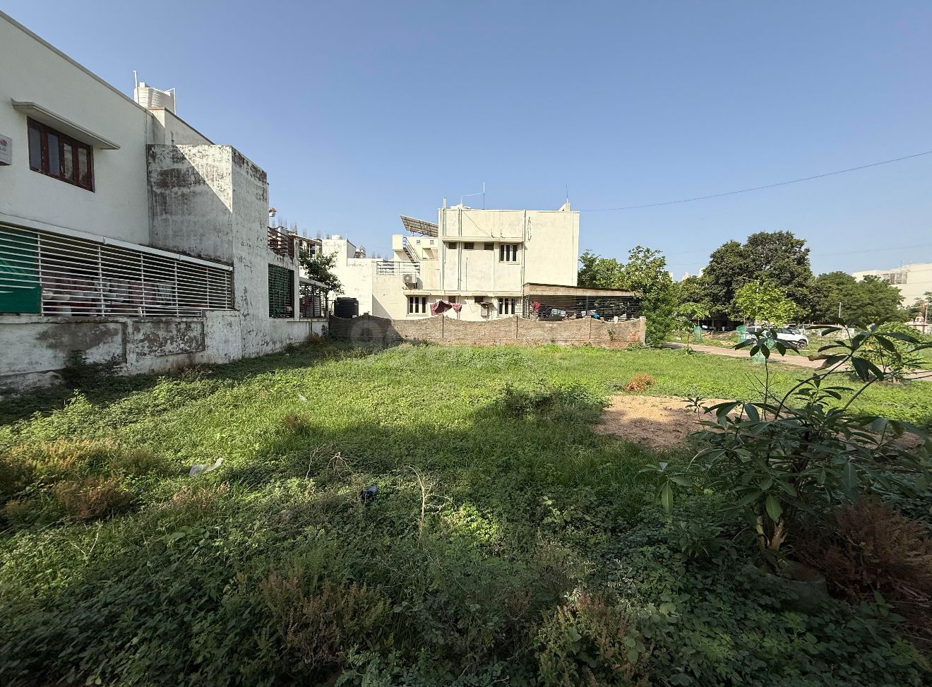 Plot in Sargasan