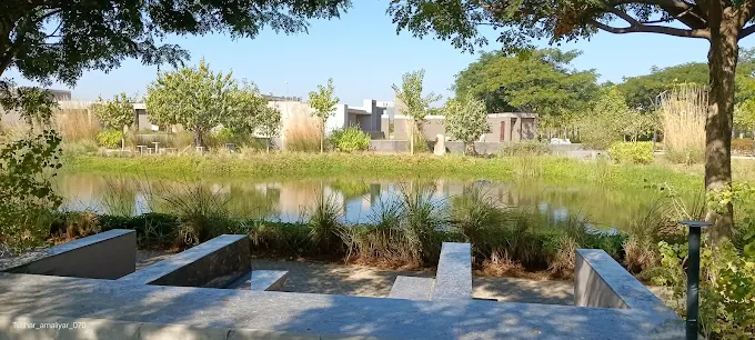 Plot in Thol view 3