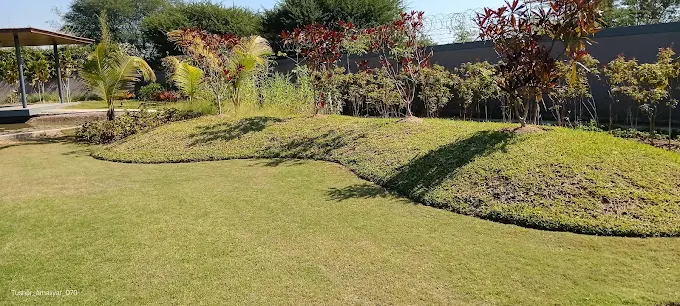 Plot in Thol view 7