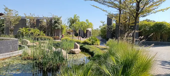 Plot in Thol view 8