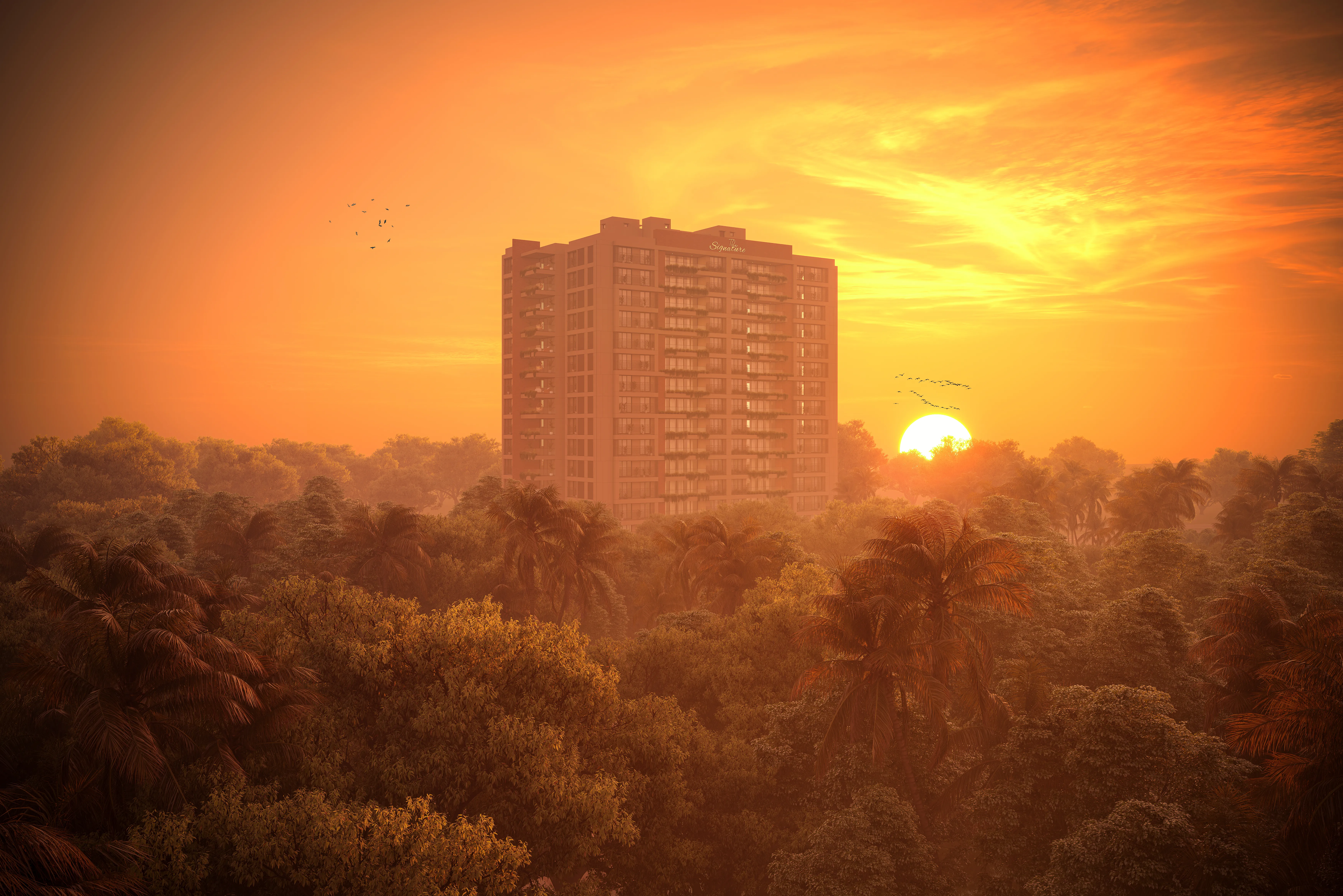 The Signature view 5