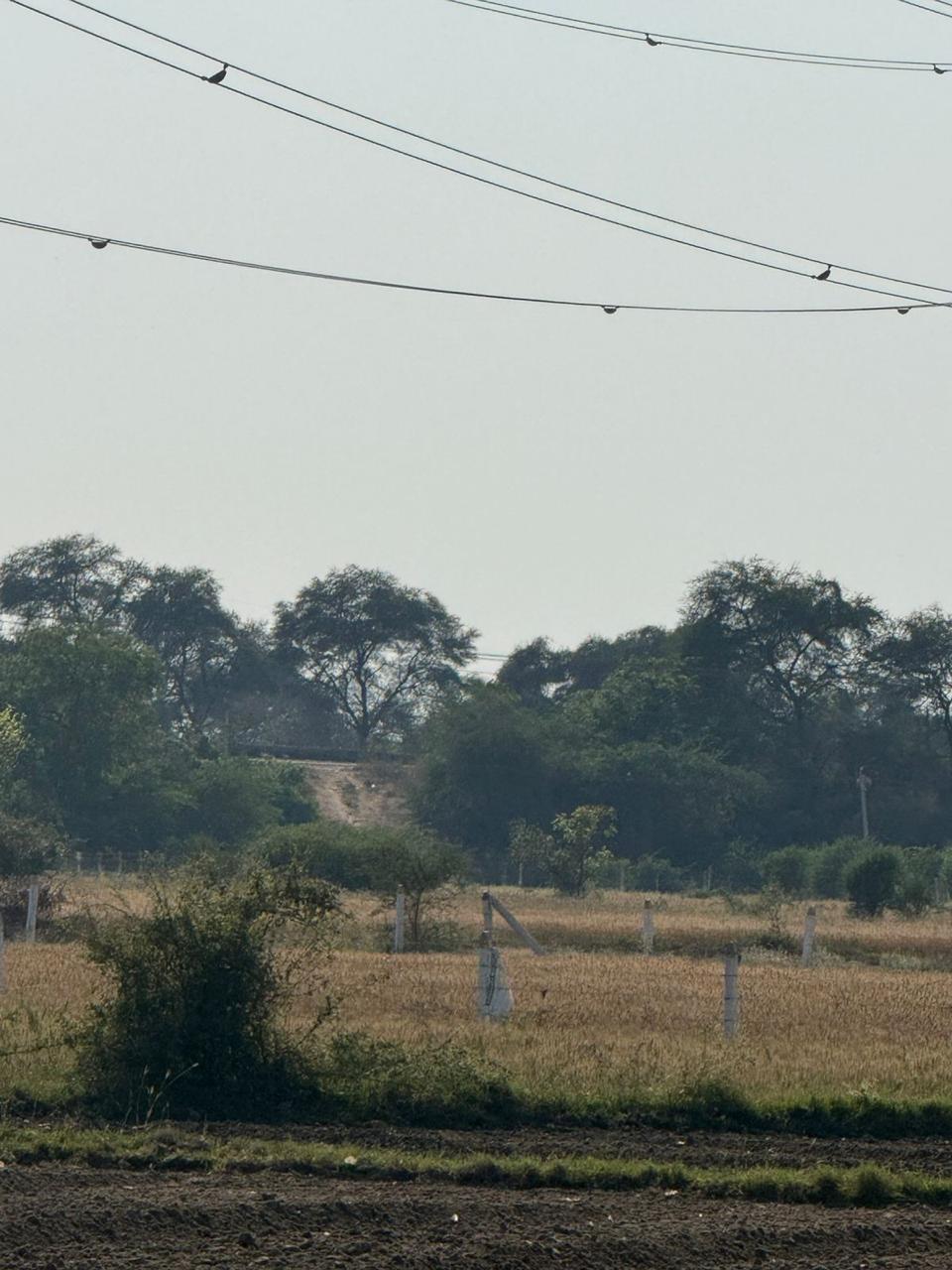 NA (Non-Agricultural) in Sherisa, Gandhinagar in Sherisa