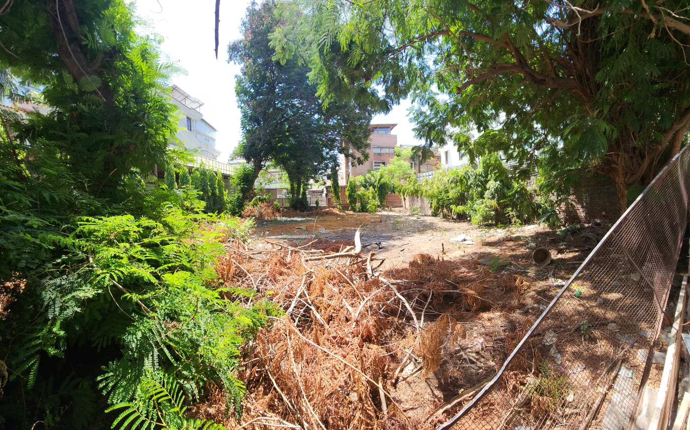 Land in Bodakdev view 2