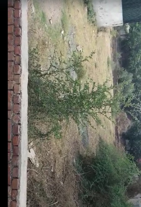 Land in South Bopal view 2