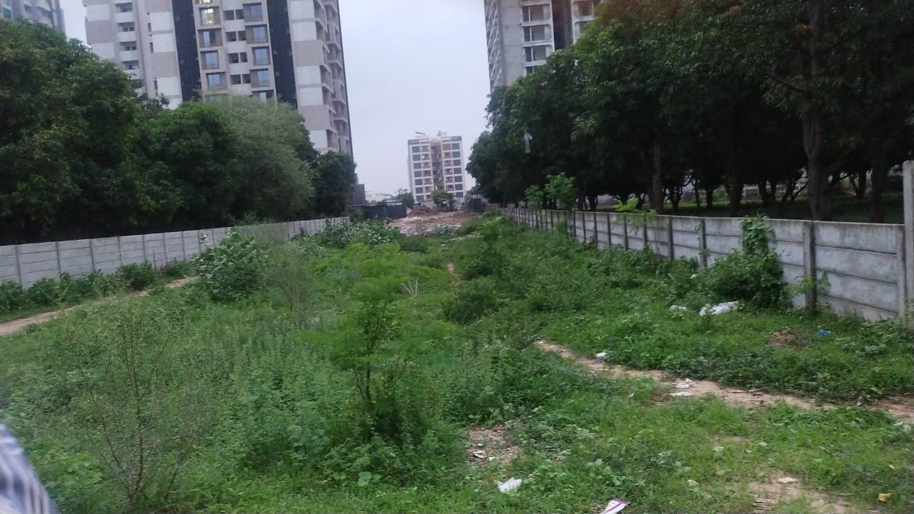 Plot in Randesan view 2