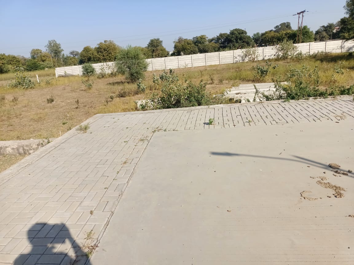 Plot in Shiholi view 3