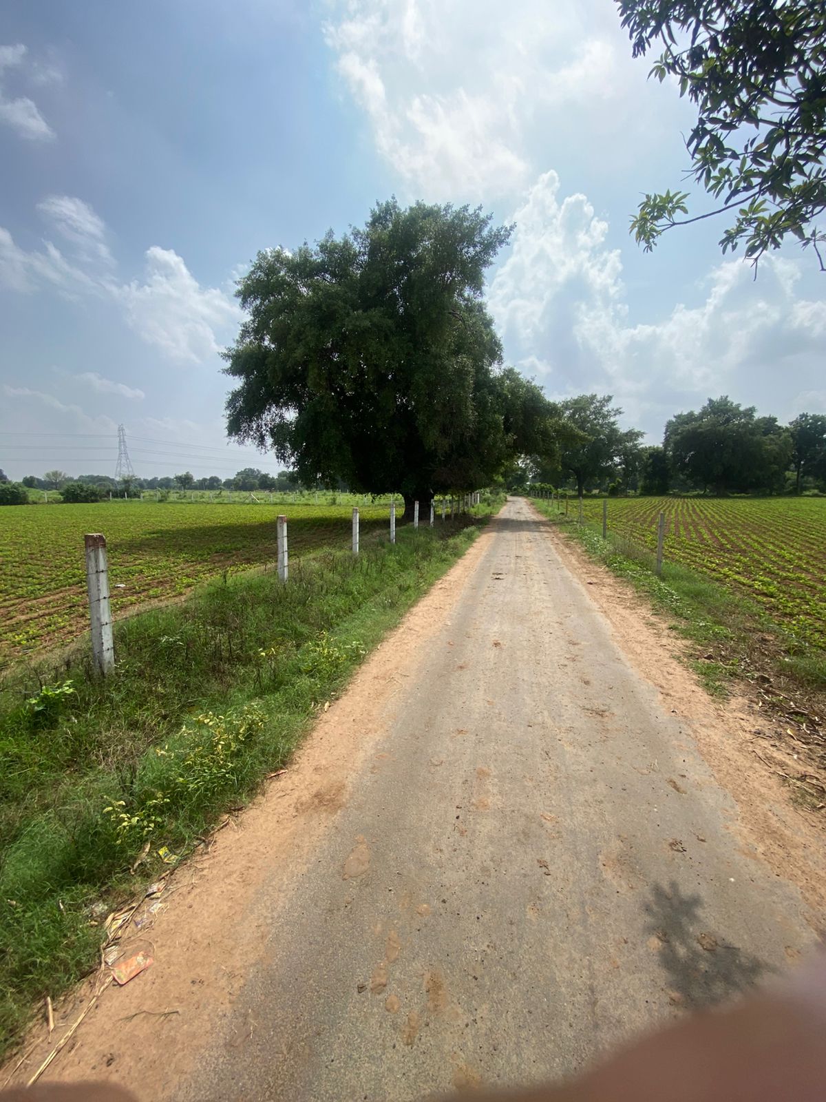Land in Giyod - Survey 334 view 2