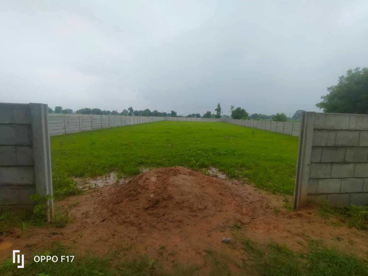 Land in Bilamana - Survey 334 view 3
