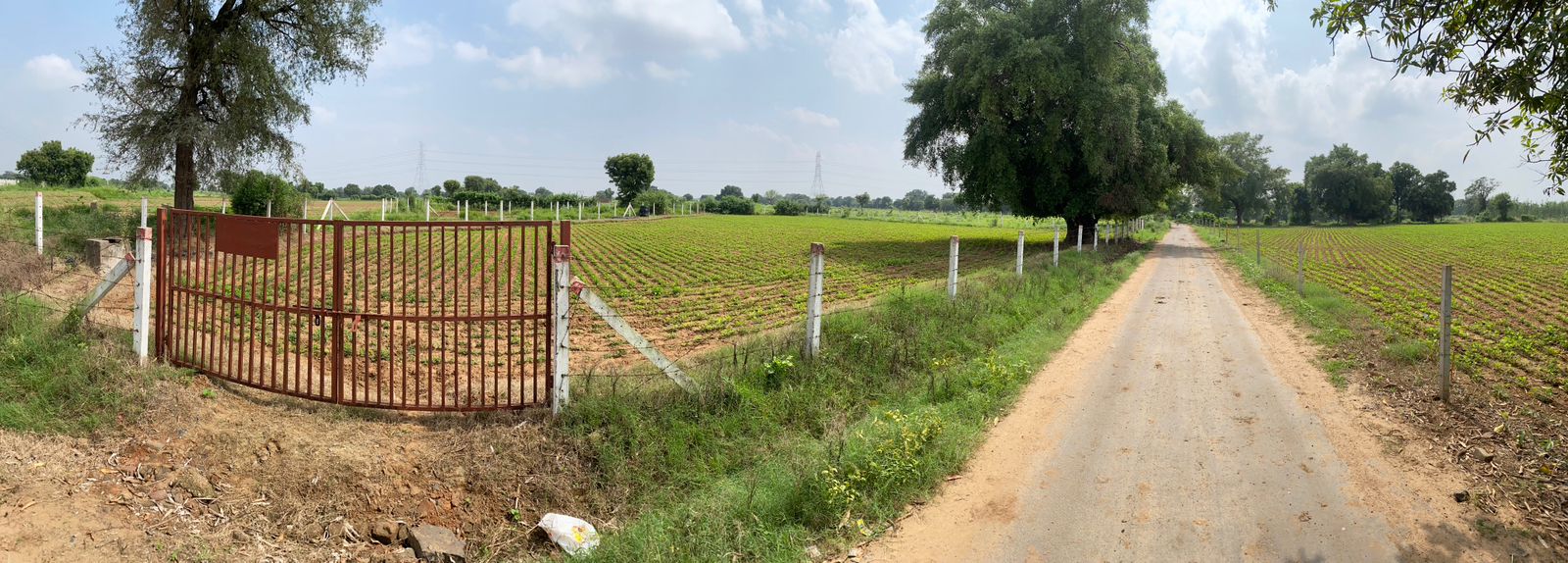 Land in Giyod - Survey 334 view 3