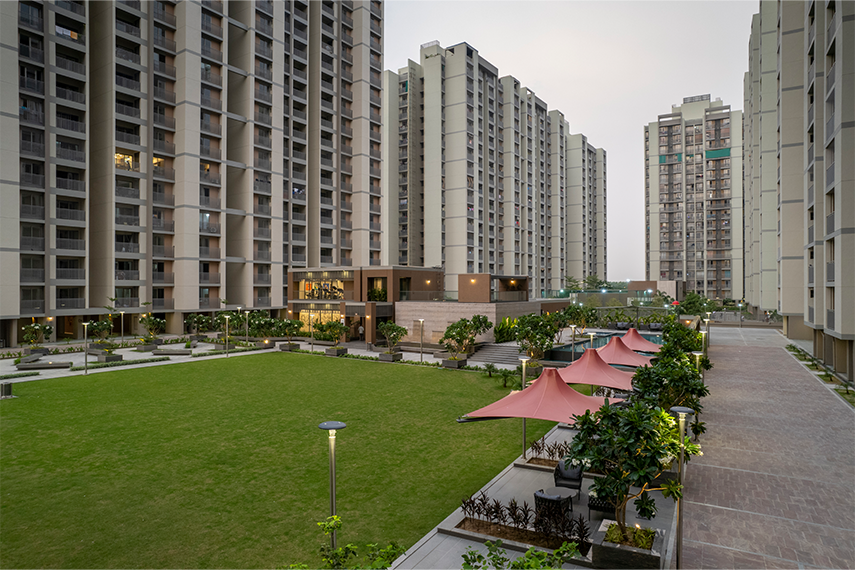Orchid Legacy view 6