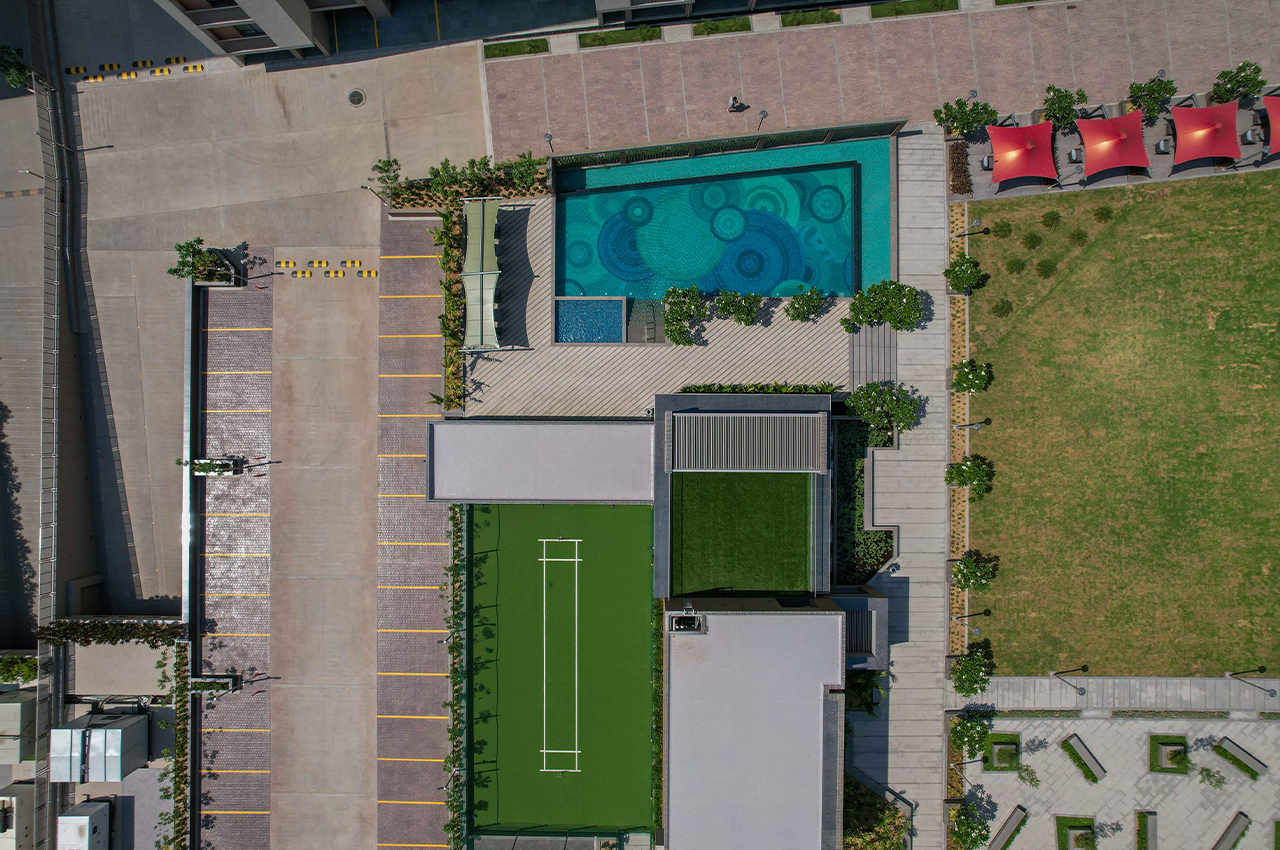 Orchid Legacy view 8