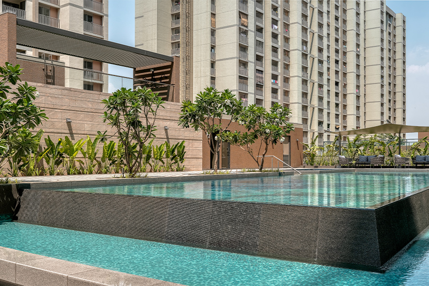 Orchid Legacy view 10
