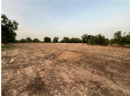 Land in Adhana - Survey 422 view 2